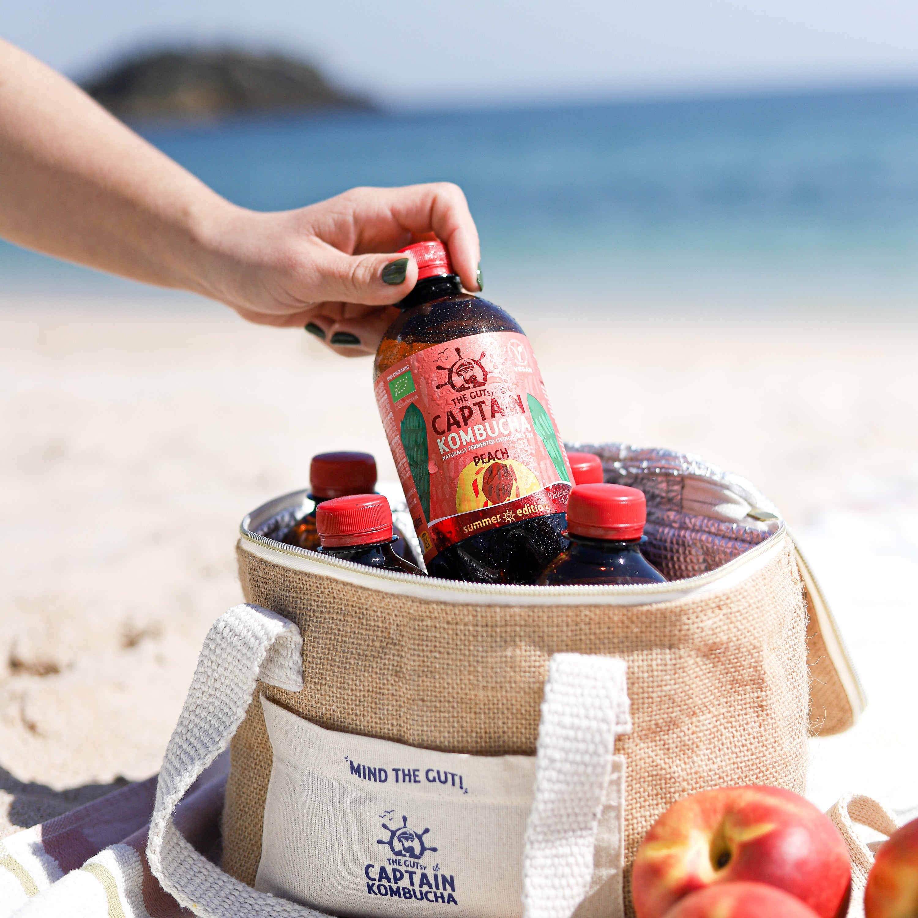 GUTsy Captain Kombucha - Letný Broskyňa 8 x 1L